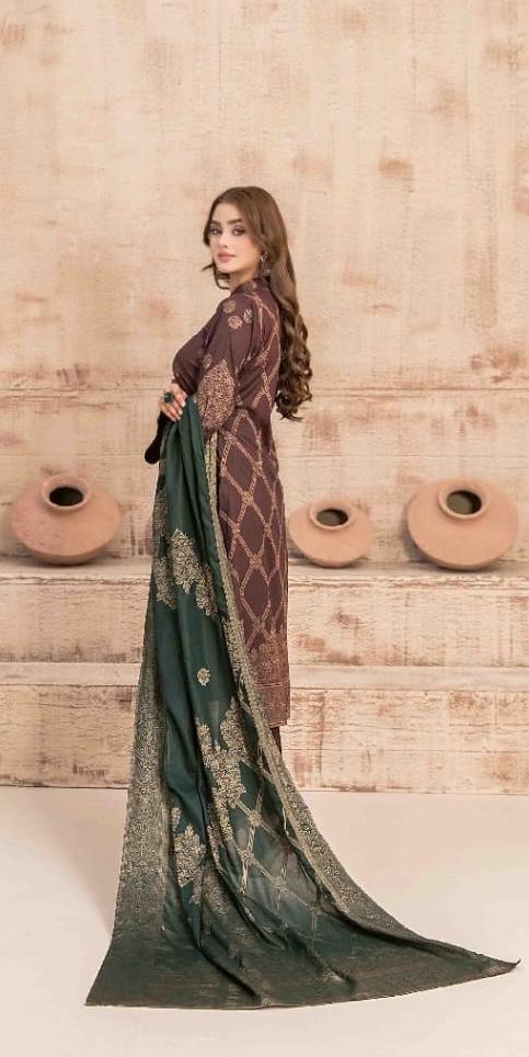 Brown Broshia Banarsi Suit